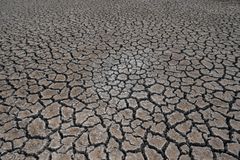 Neue Studie zeigt: Diese Folgen hätte ein Atomkrieg