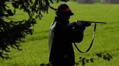 Jägerin erschoss Katze im Wald: Ist es erlaubt, Haustiere zu töten?